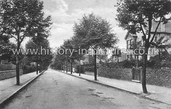 Western Road, Romford, Essex. c.1915